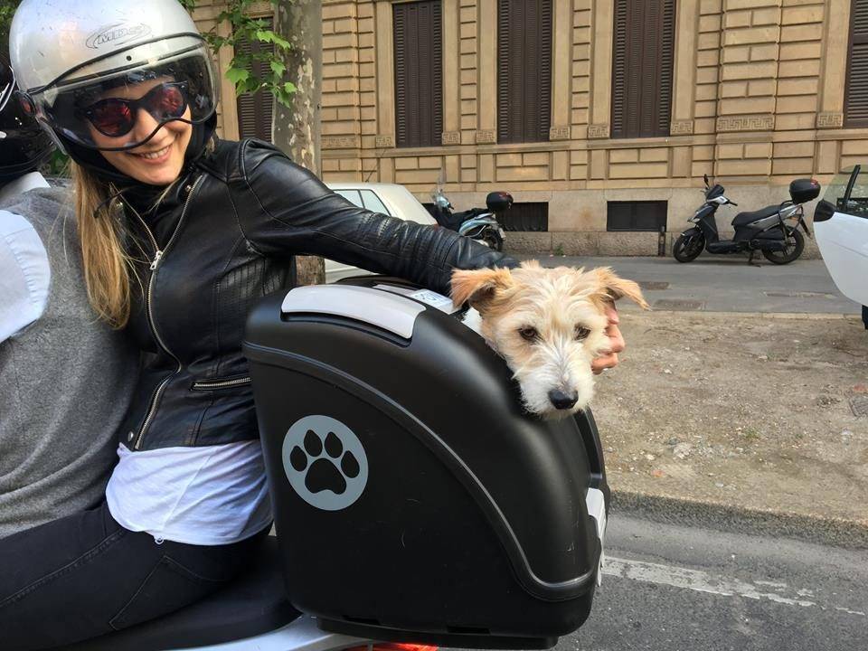 Cómo transportar perros en moto con trasportín